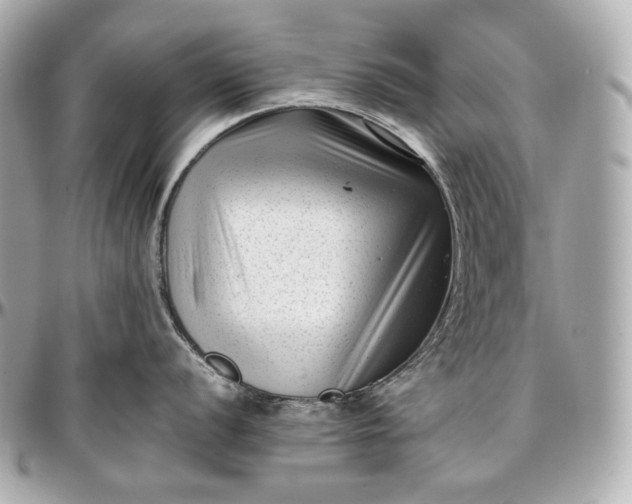 X0000096981056200802221430