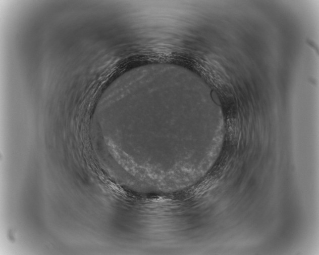 X0000096981057200802221429