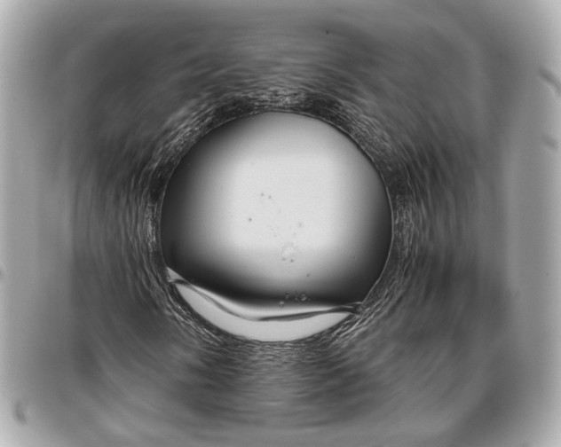 X0000096981058200802221429