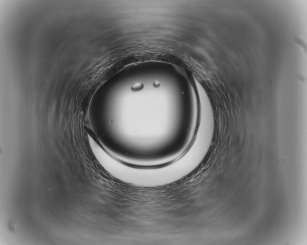 X0000096981059200802221429