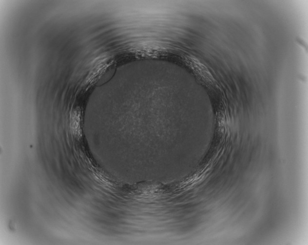 X0000096981060200802221429