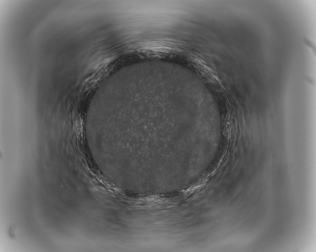 X0000096981061200802221429