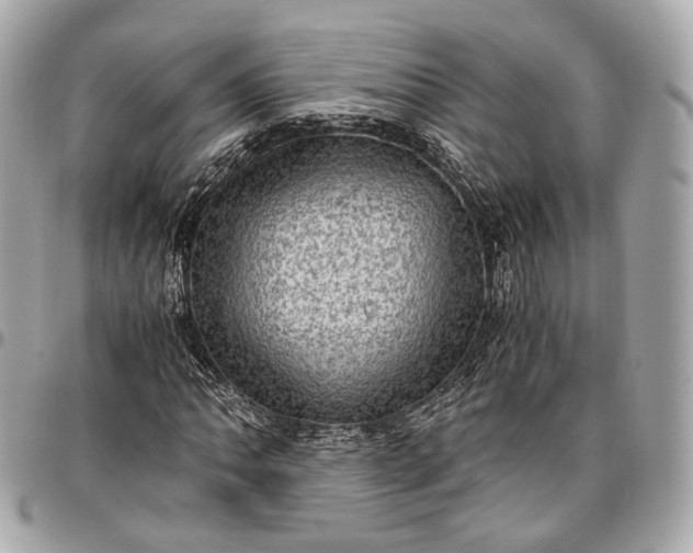 X0000096981062200802221429