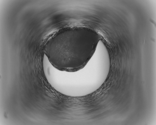 X0000096981063200802221429