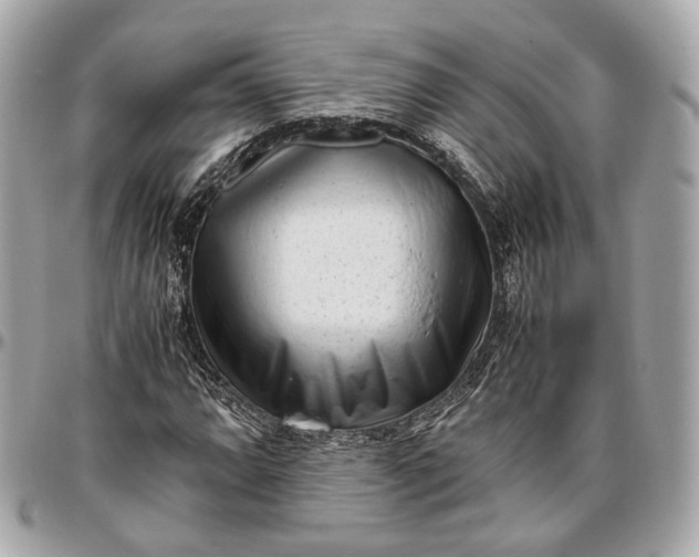 X0000096981064200802221429