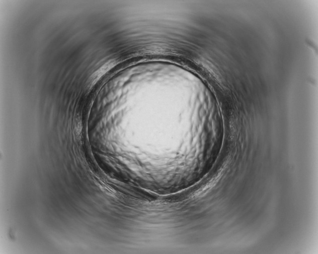 X0000096981065200802221429