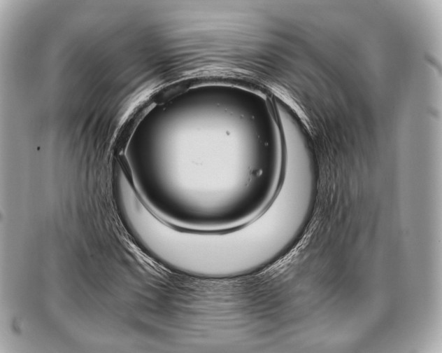 X0000096981067200802221429