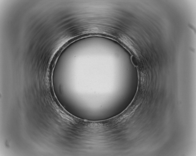 X0000096981068200802221429