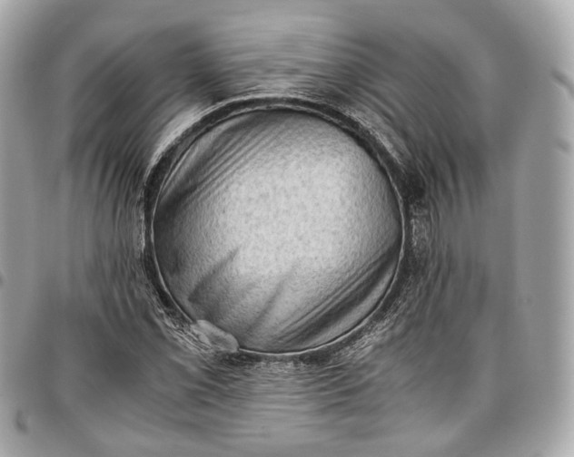 X0000096981069200802221429