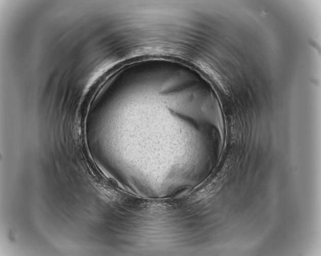 X0000096981070200802221429