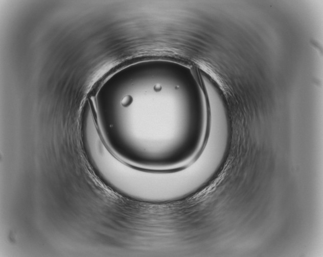 X0000096981071200802221429