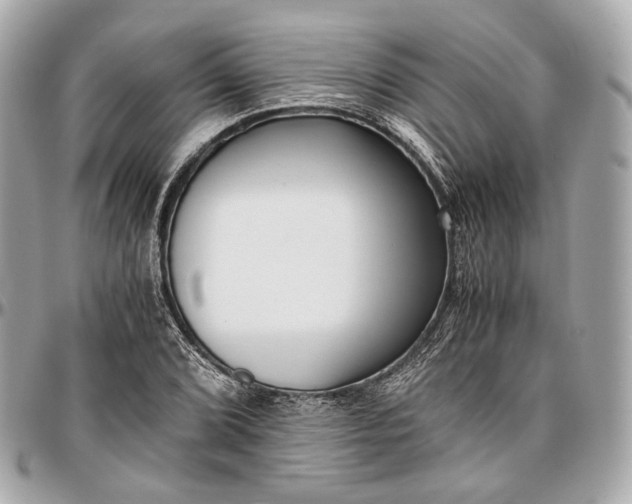 X0000096981072200802221429