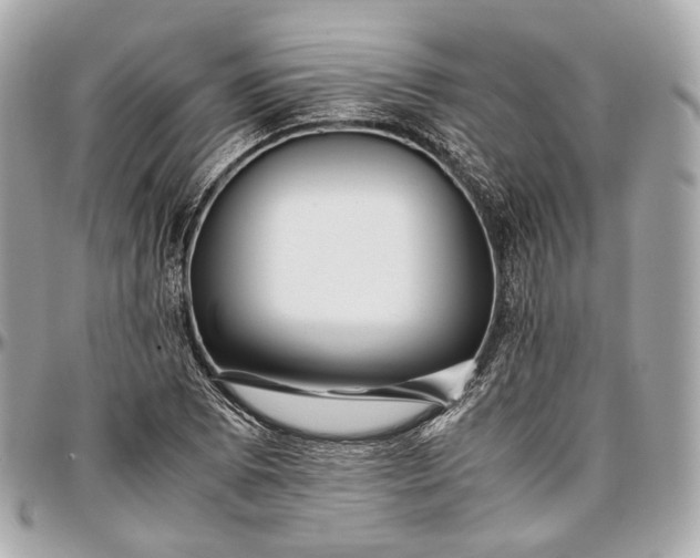 X0000096981073200802221428