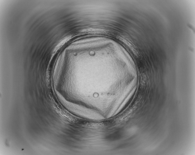 X0000096981074200802221428