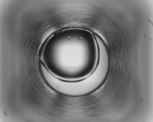 X0000096981075200802221428