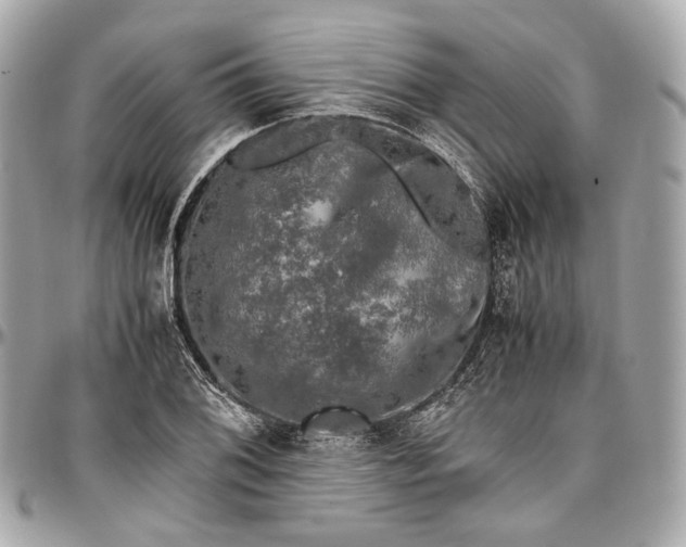 X0000096981076200802221428