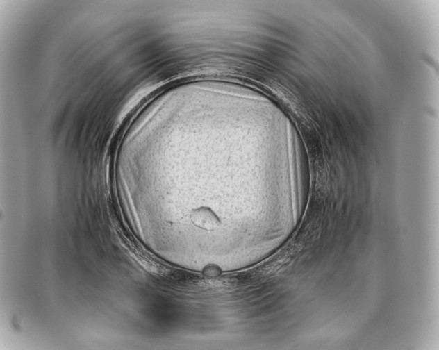 X0000096981078200802221428