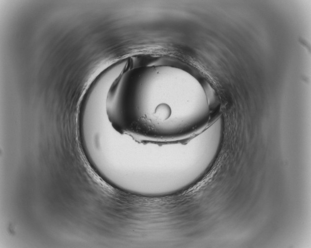 X0000096981079200802221428