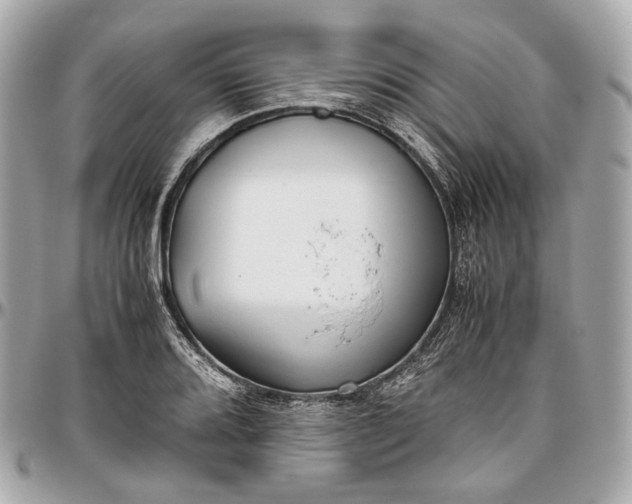 X0000096981080200802221428