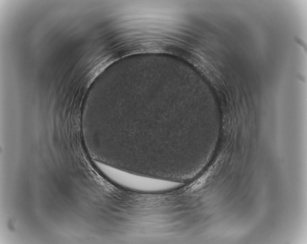 X0000096981081200802221428