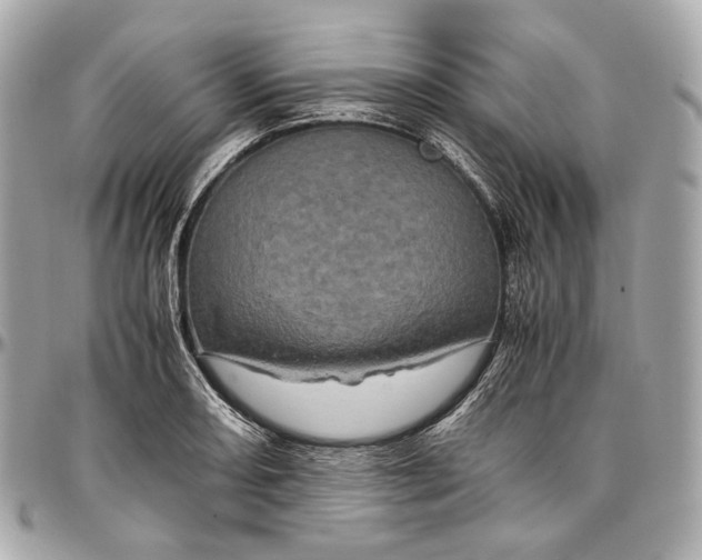 X0000096981082200802221428