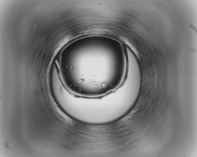 X0000096981083200802221428