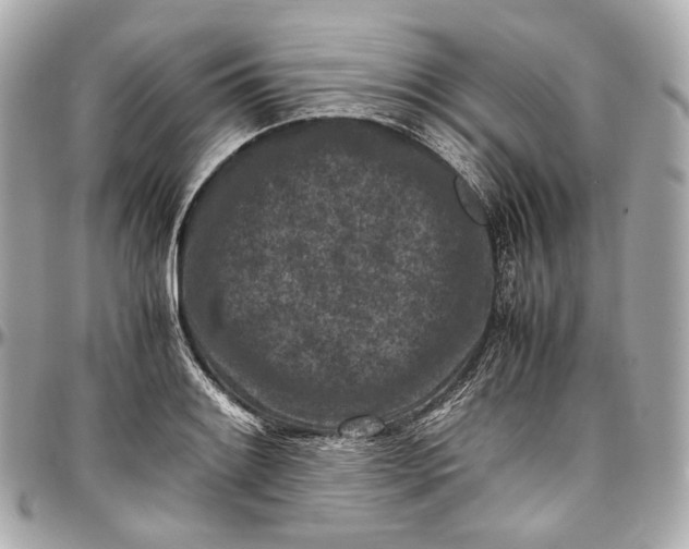 X0000096981084200802221428