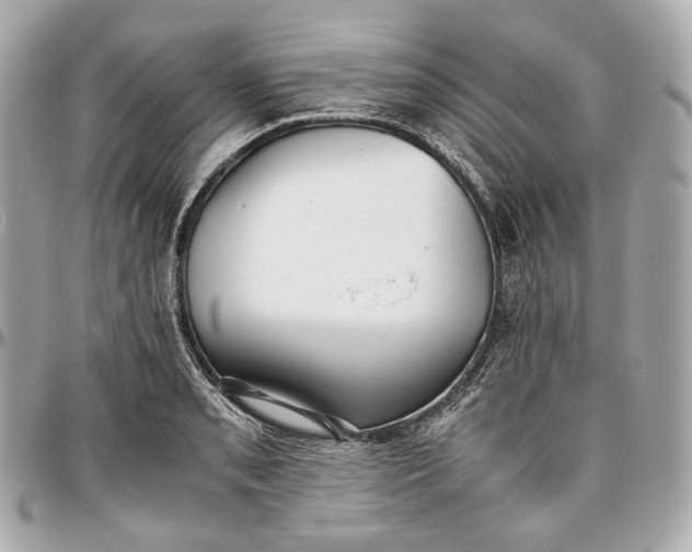 X0000096981085200802221428