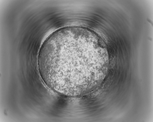 X0000096981086200802221428