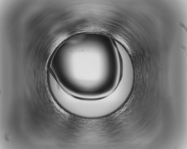 X0000096981087200802221428