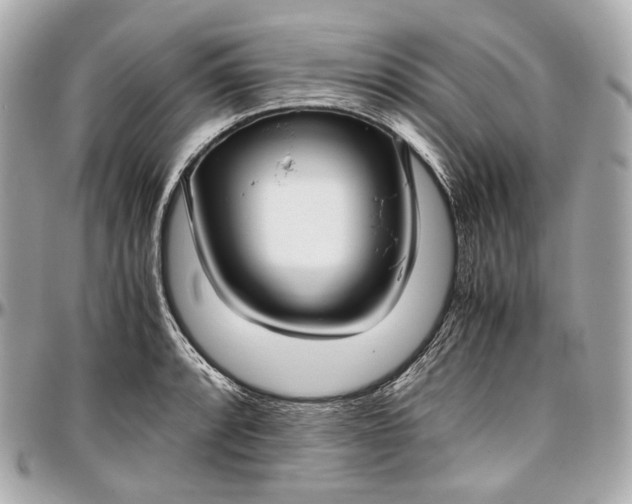 X0000096981088200802221428