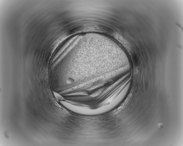 X0000096981089200802221428