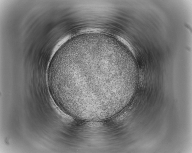 X0000096981090200802221428