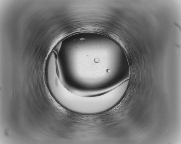 X0000096981091200802221428