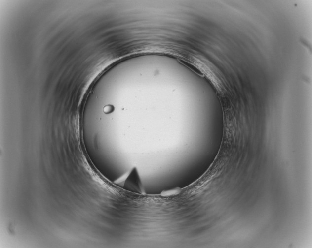 X0000096981092200802221428