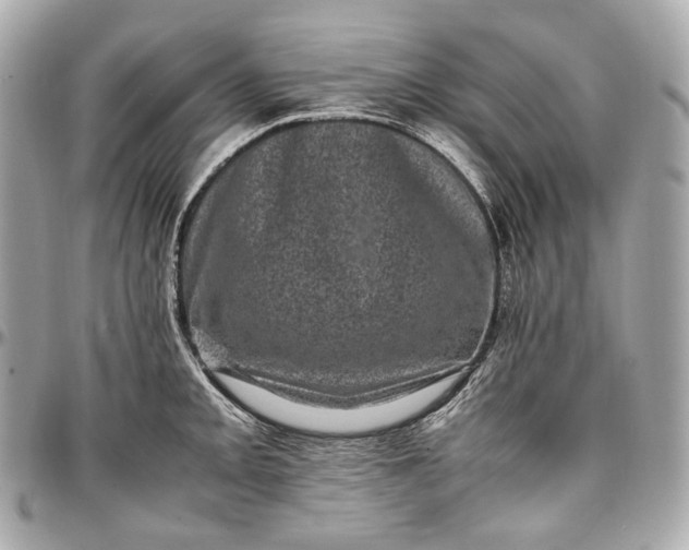 X0000096981093200802221428