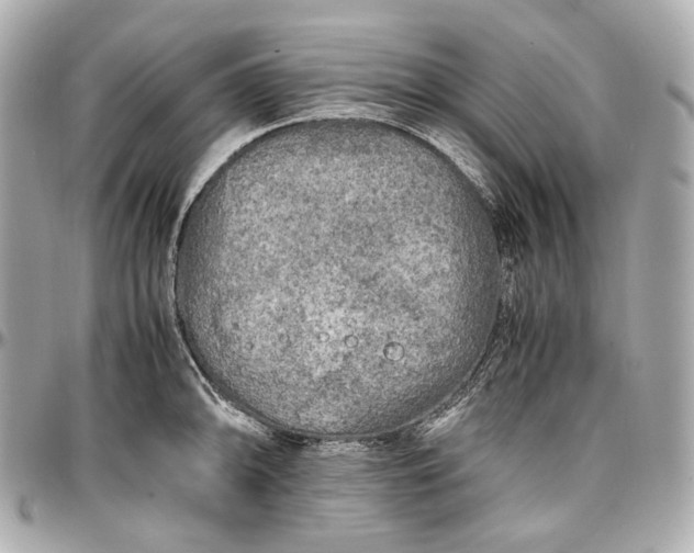 X0000096981094200802221428