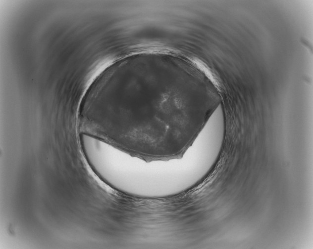 X0000096981095200802221428