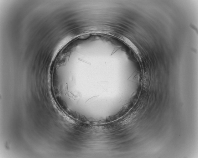 X0000096981096200802221428