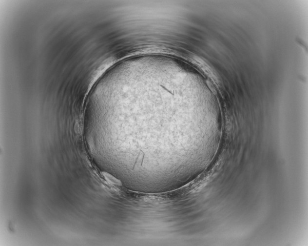 X0000096981097200802221428