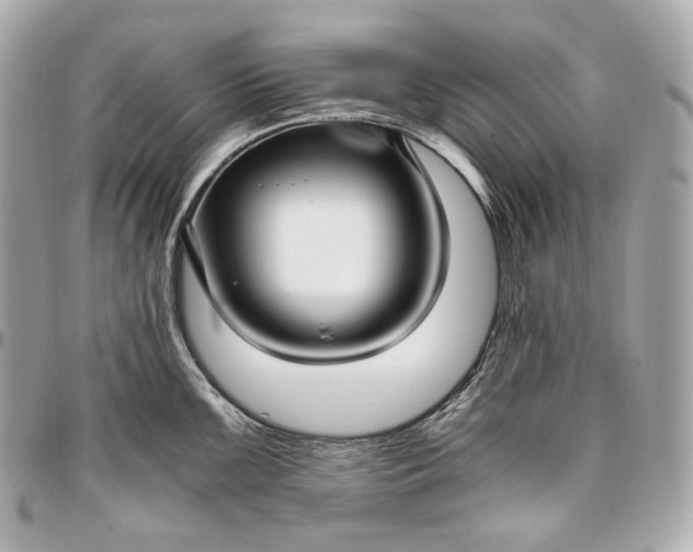 X0000096981099200802221428