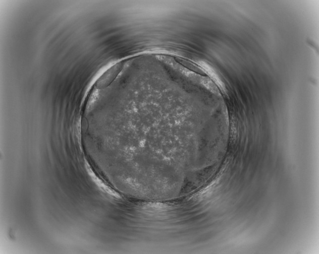 X0000096981100200802221428