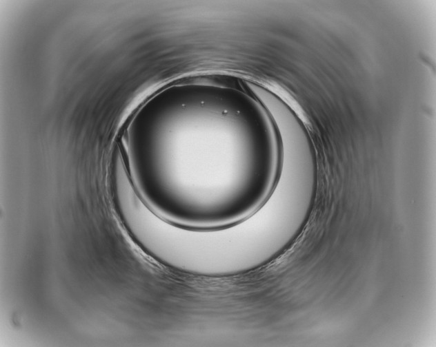 X0000096981101200802221428