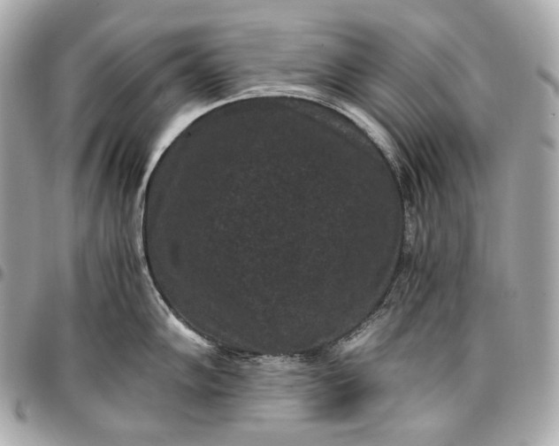 X0000096981102200802221428