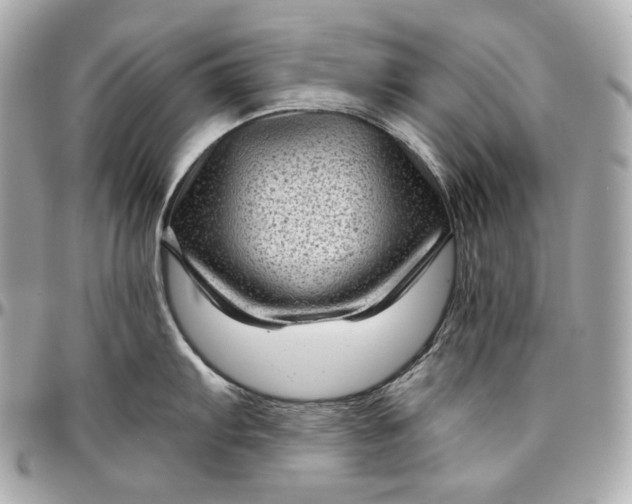 X0000096981103200802221428