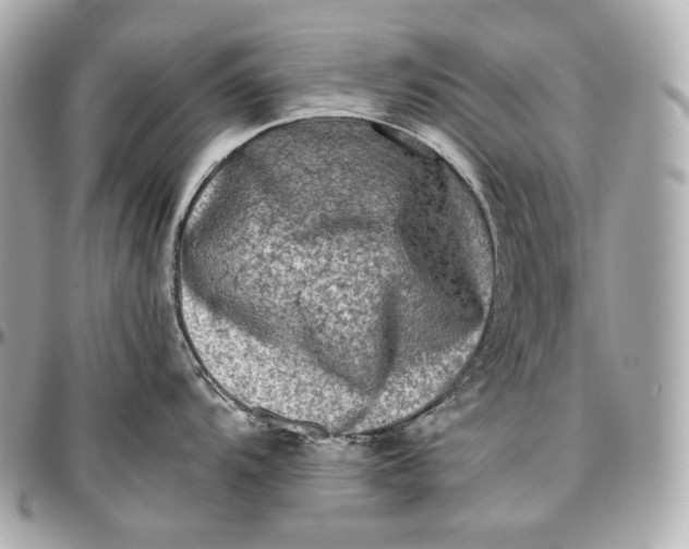 X0000096981104200802221428