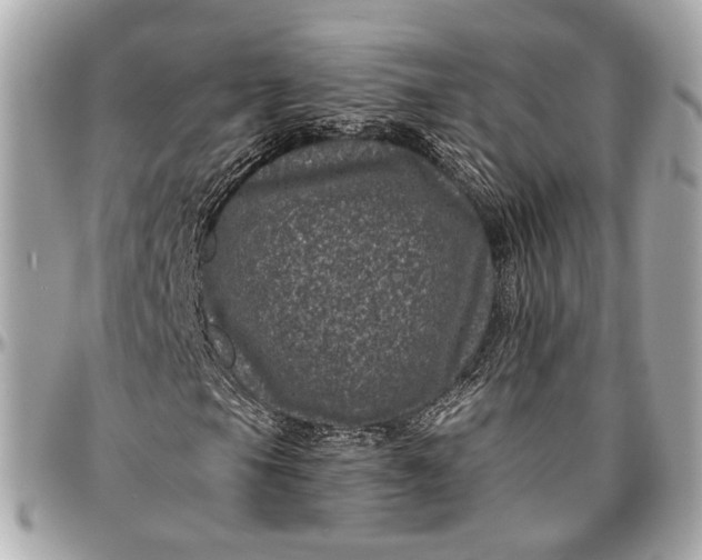 X0000096981105200802221427