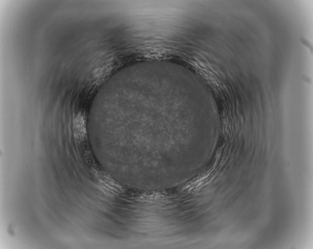 X0000096981106200802221427