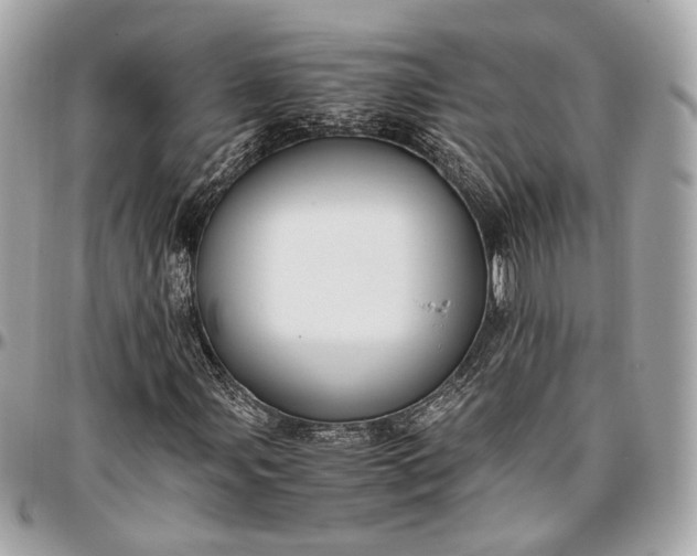 X0000096981107200802221427