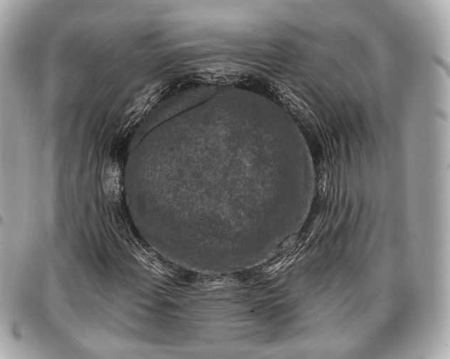 X0000096981108200802221427